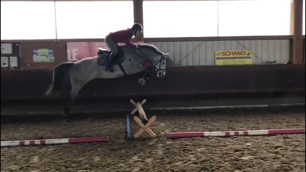 Under saddle